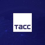 Сергей Чирков: Бюджет Соцфонда на 2026 год полностью обеспечивает все пенсии и выплаты